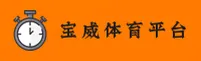 宝威(BWYL)官方网站 · 畅玩无限 · R4V8